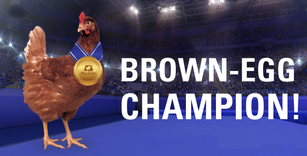 Hy-Line Brown Max dominates twentieth Czech check for cage-free manufacturing