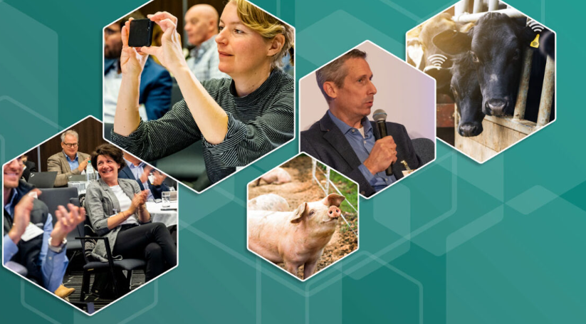 Taking a one well being manner with Elanco and Ceva