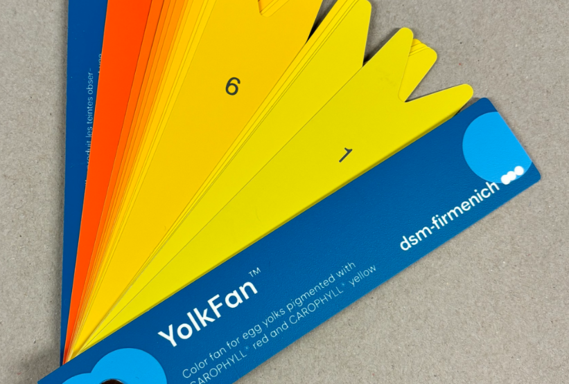 New DSM yolk colour fan (YolkFan) in spite of everything arrived!