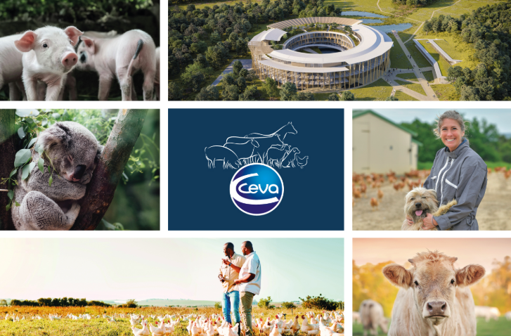 Collaborative effort to strengthen Singapore’s preparedness against avian influenza