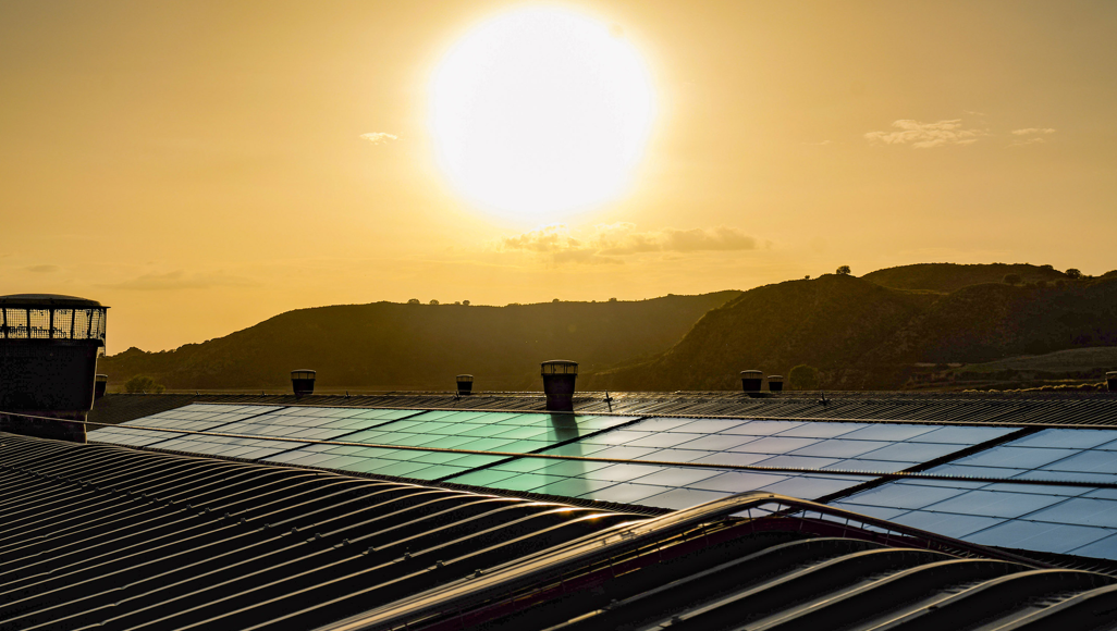 Breeding sustainability into everyday progress: Aviagen launches 2024 Sustainability Report