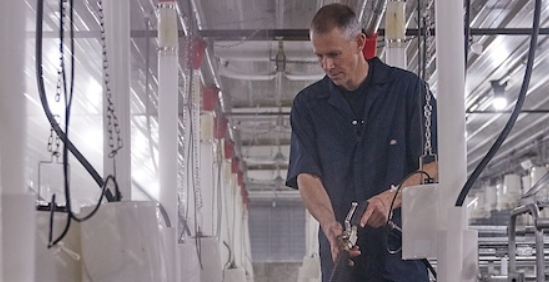 Trends shaping productivity, health and the future workforce