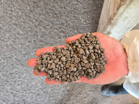 Manure and sustainability: turning manure into a useful fertilizer