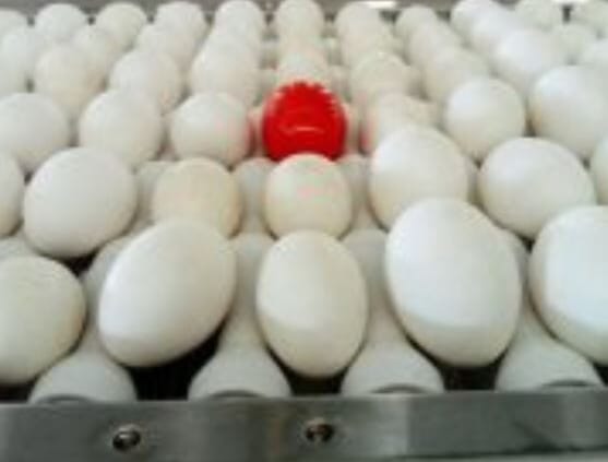 Wireless Egg Node from ORKA Food Technology