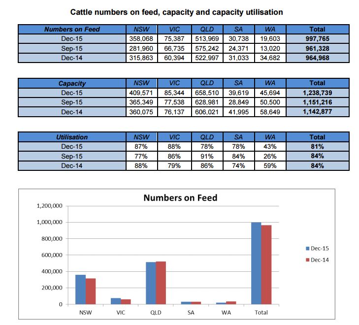 Australia Cattle On Feed