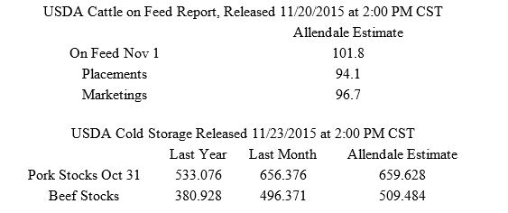 Allendale Cattle on Feed