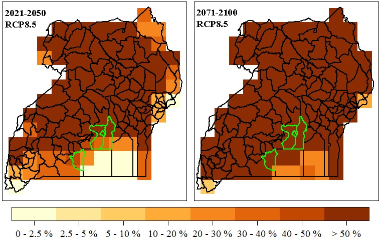 Frequency of severe heat stress events for dairy cattle in Uganda by 2021-2050 and 2071-2100