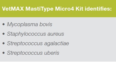 MastiType Micro4