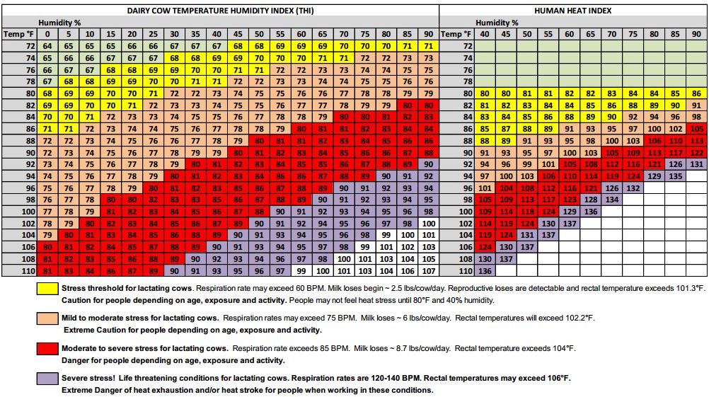 An Introduction into Heat Stress in Dairy Cows The Dairy Site