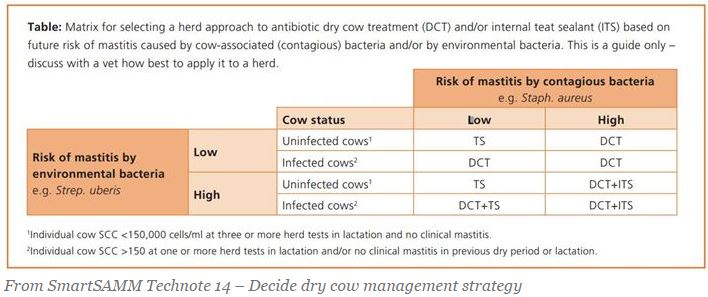 Benefits of using an internal teat sealant in dry cow management