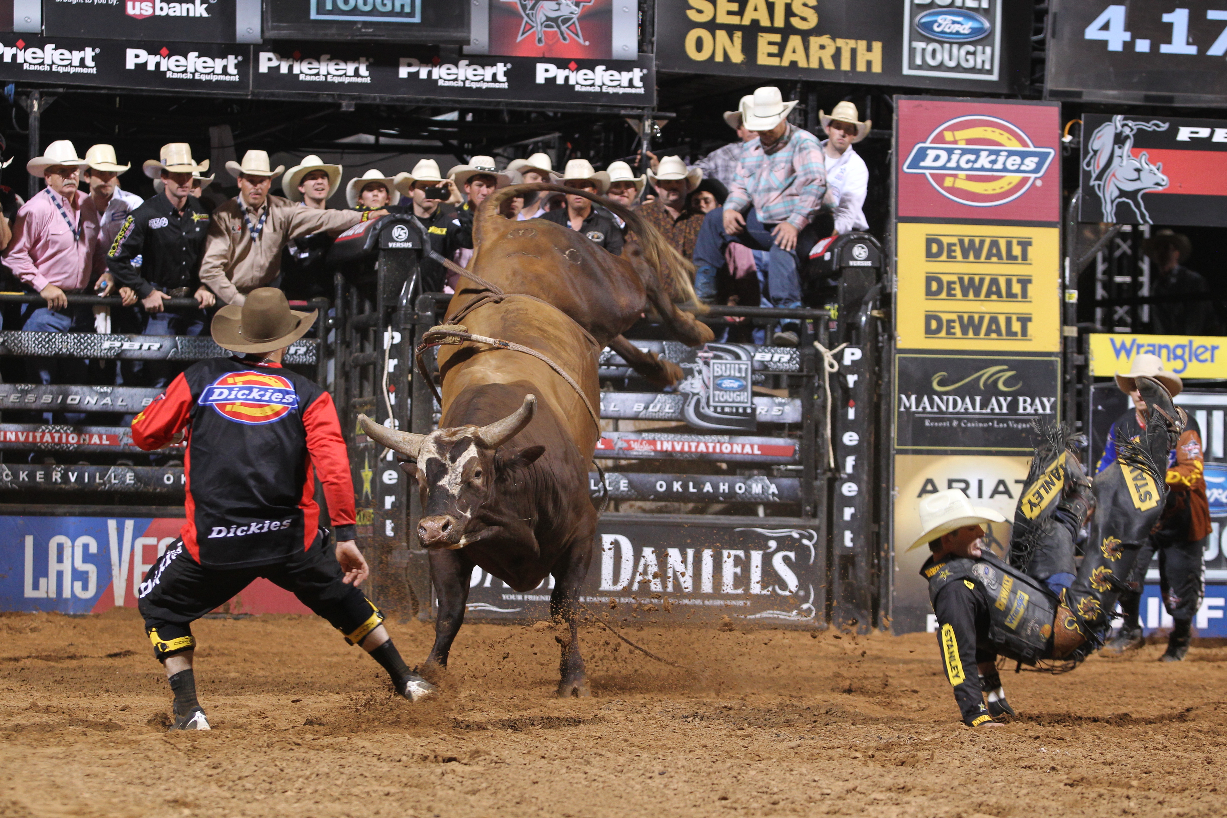 bucking bulls