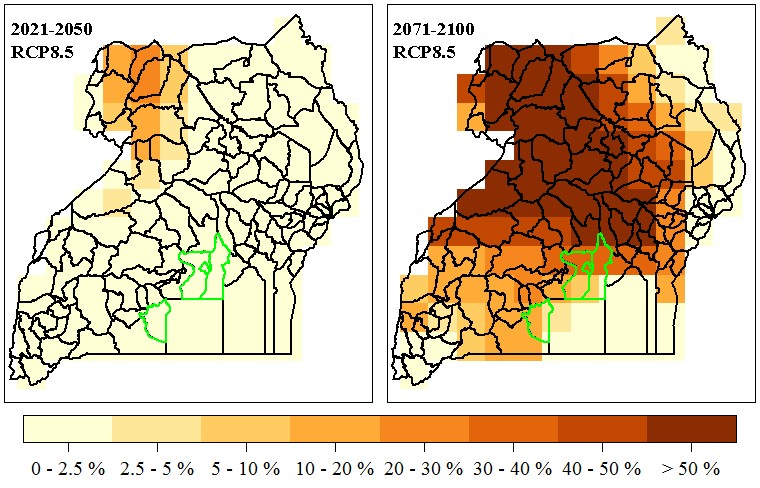 Frequency of severe heat stress events for dairy cattle in Uganda by 2021-2050 and 2071-2100