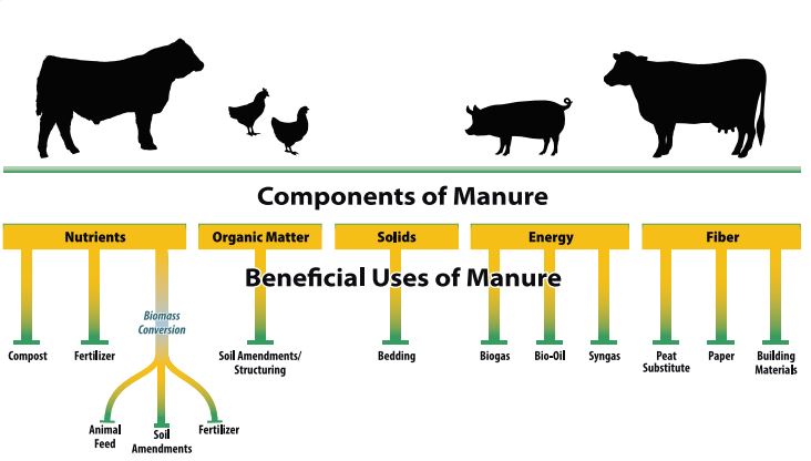 Components of Manure