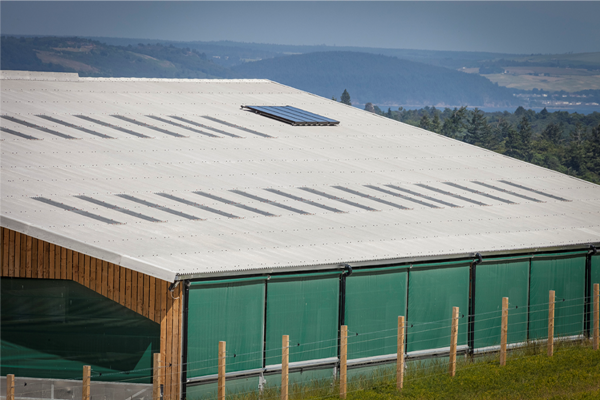 Calf sheds need good air flow