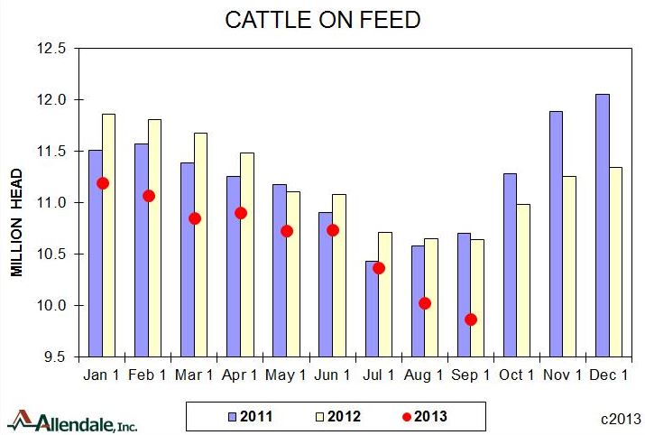 Allendale Cattle on Feed