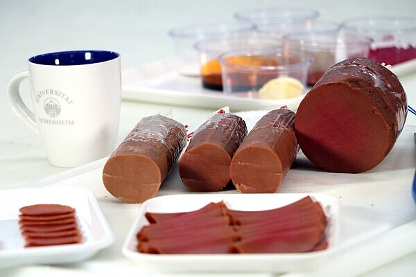 Scholars growing a brand new roughly vegan ham